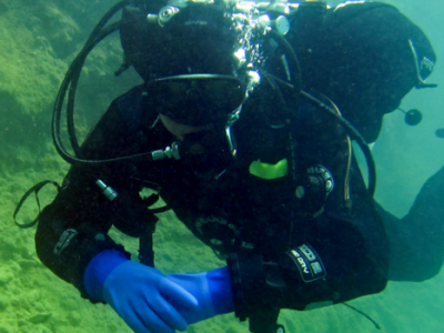 TEC-DIVE